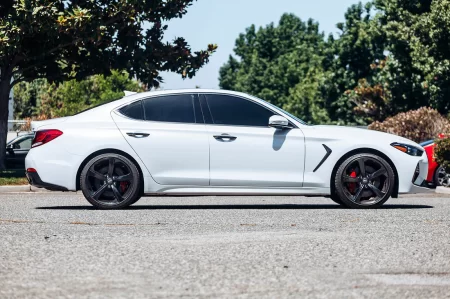 (image for) ARK Performance Genesis G70 3.3T GT-F Lowering Springs 2019 – 2024