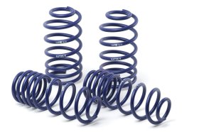 H&R Genesis Coupe Sport Lowering Springs Set 2010 - 2016