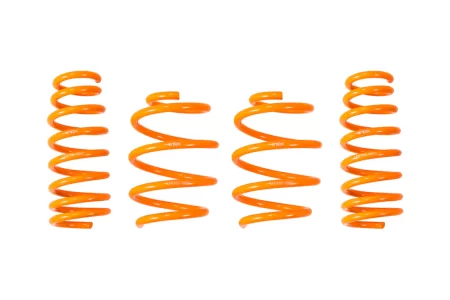 (image for) Ark Performance Genesis Coupe GT-F Lowering Springs Set 2010 - 2016