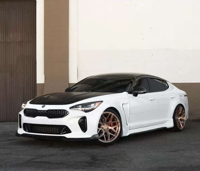 (image for) SGBT KIA Stinger Fiberglass Fenders 2018 – 2023